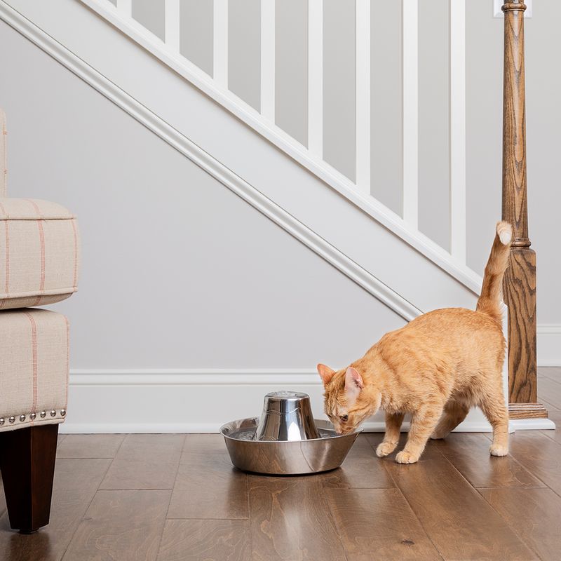 PETSAFE® FONTAINE EN ACIER INOXYDABLE