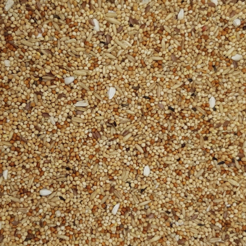 PRESTIGE - MELANGE DE PERRUCCHES 1 KG