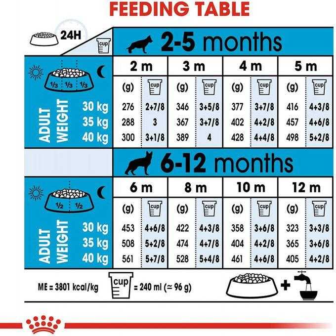 ROYAL CANIN - CROQUETTE CHIEN MAXI PUPPY