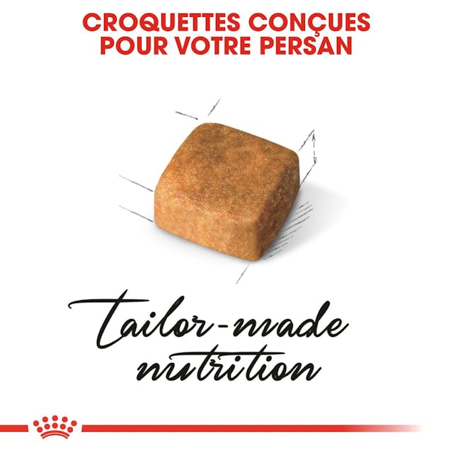 ROYAL CANIN CROQUETTE CHATON SPECIAL PERSIAN - 2KG