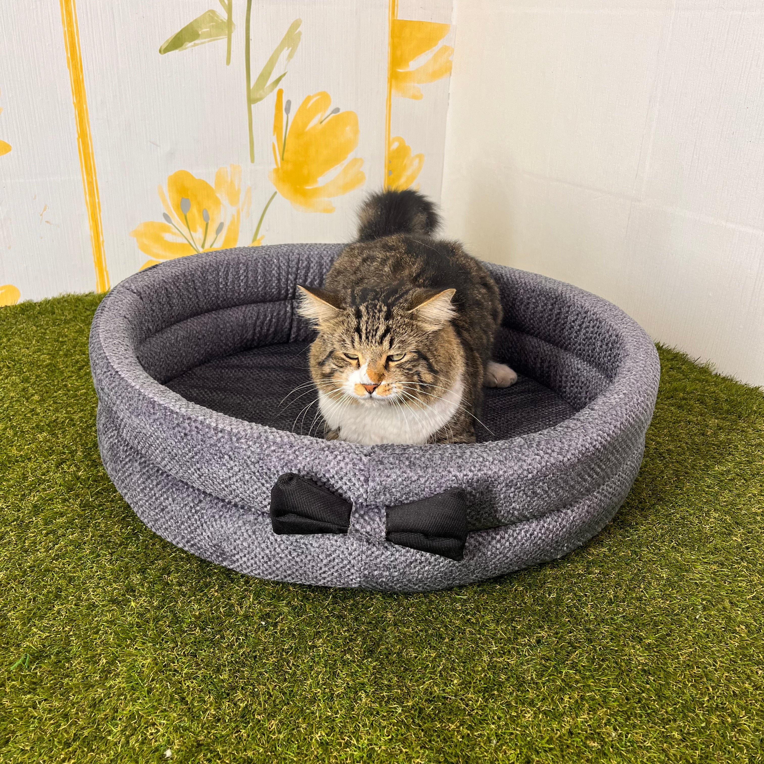 PANIER ROND AVEC PAPILLON POUR CHAT OU CHIEN COULEUR GRIS FONCÉ