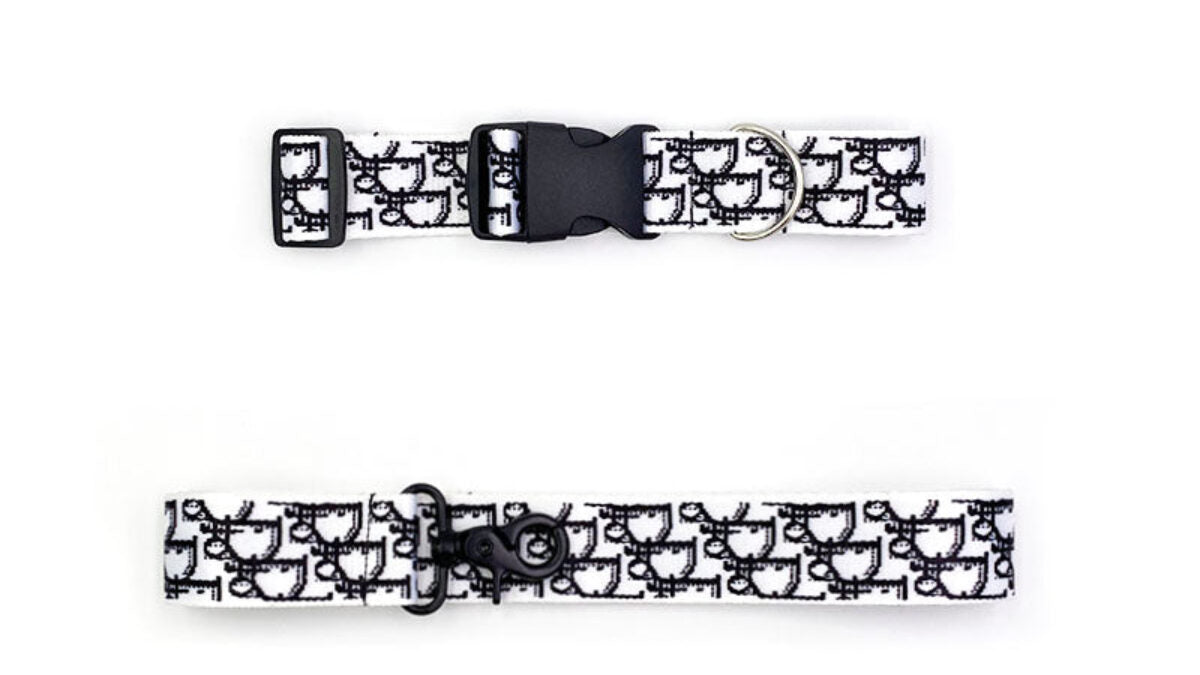 LAISSE AVEC COLLIER DIOR POUR CHIEN