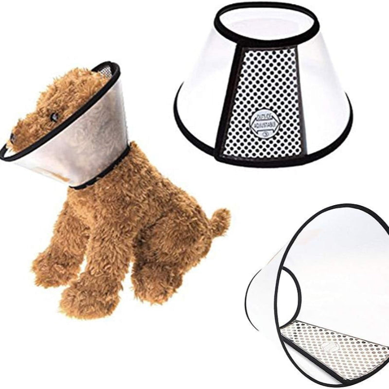 CARCAN TAILLE M 33-36 CM