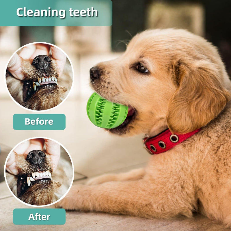 BALLE NETTOYAGE DES DENTS POUR CHIEN