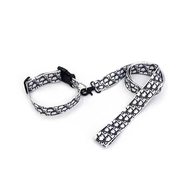 LAISSE AVEC COLLIER DIOR POUR CHIEN