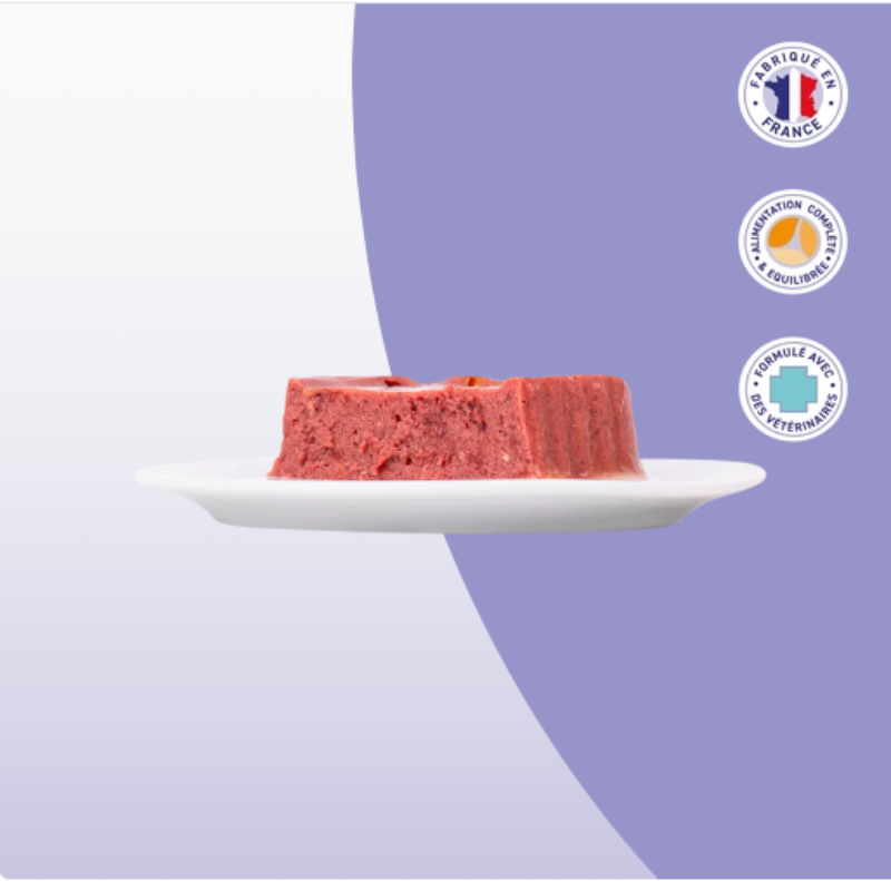 BARQUETTE PLAISIR - BOEUF 100 GR