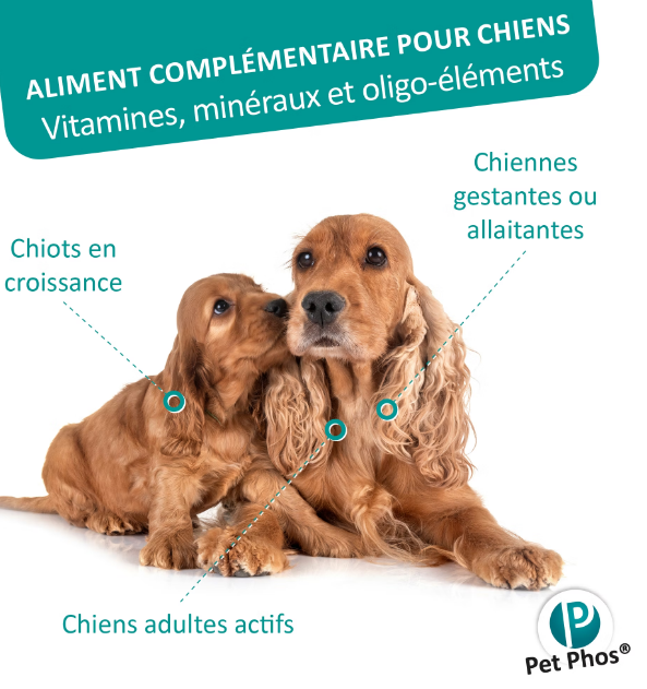 PETPHOS - CROISSANCE  Ca/P : 1,3 - 1000 COMPRIMÉS