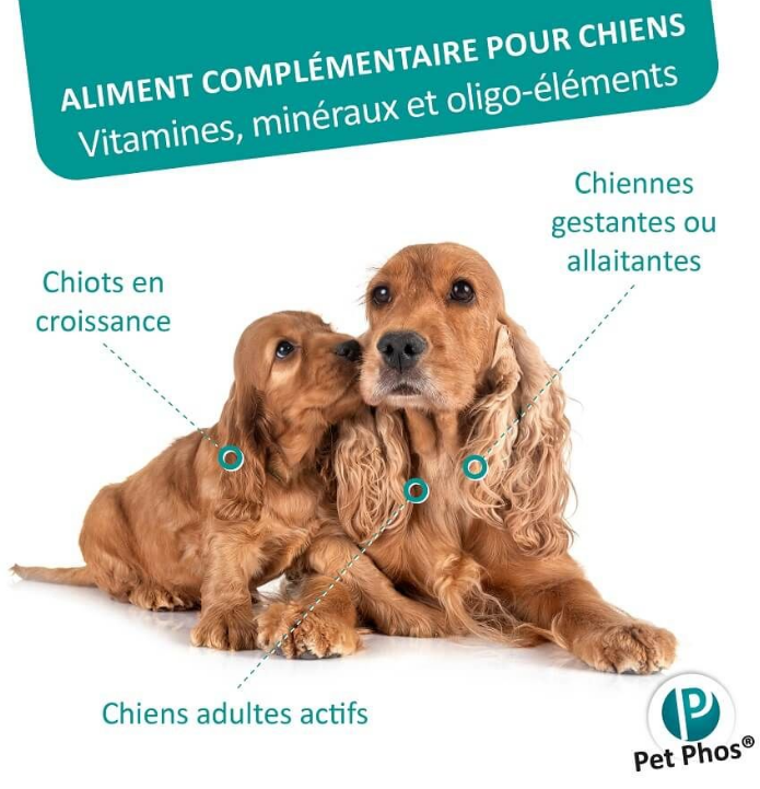 PETPHOS - CROISSANCE  Ca/P : 1,3 - 100 COMPRIMÉS