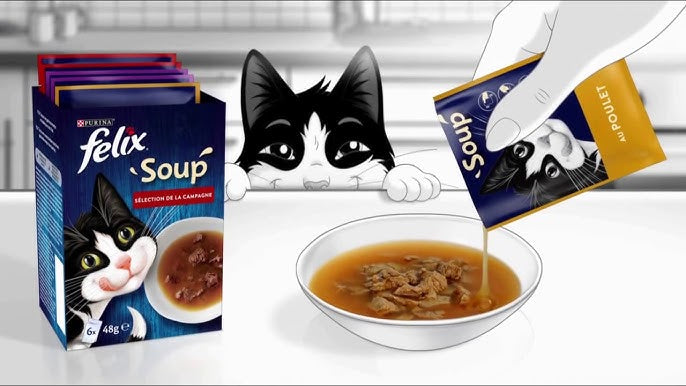 FELIX SOUPE POULET,BOEUF&THON   6*48GR