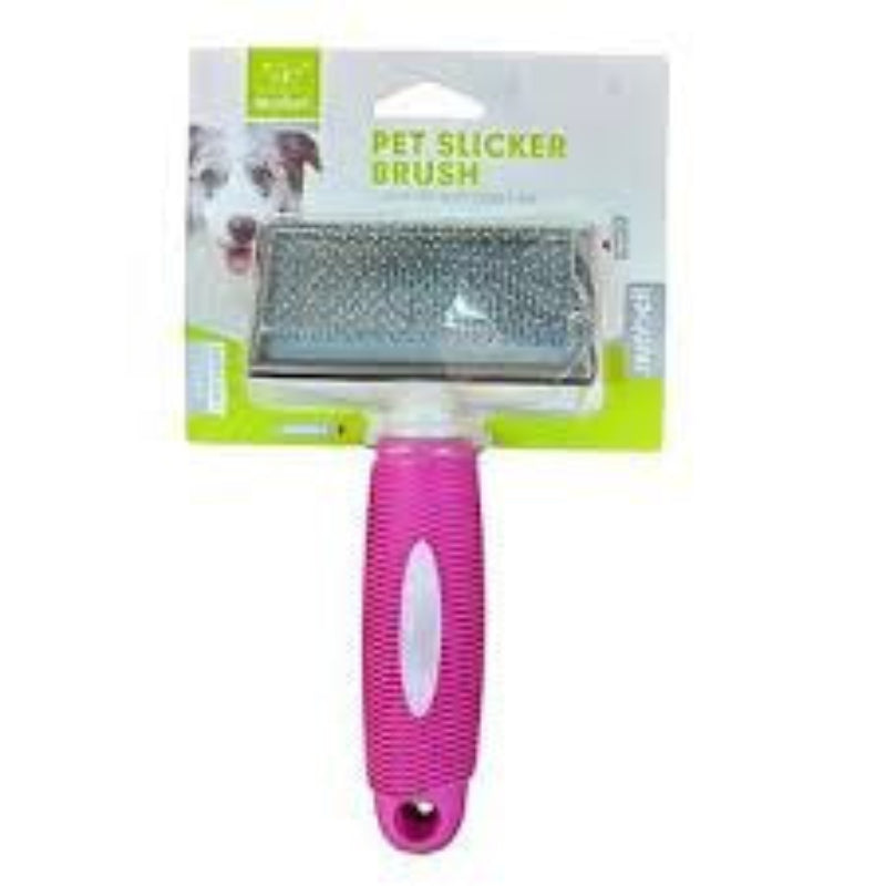 BROSSE EN CARDE POIGNEE EN CAOUTCHOUC