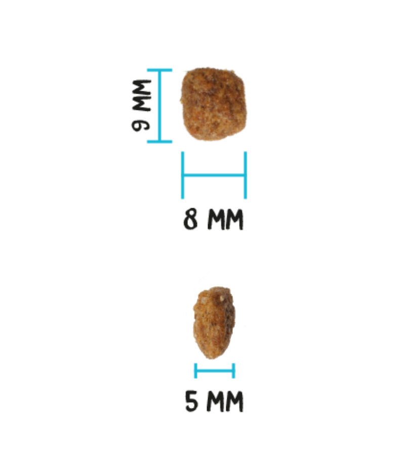 OWNAT ULTRA KITTEN 1,5 Kg