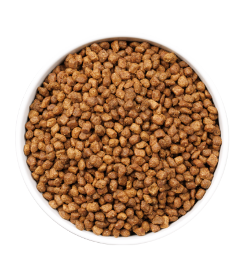 OWNAT ULTRA KITTEN 1,5 Kg