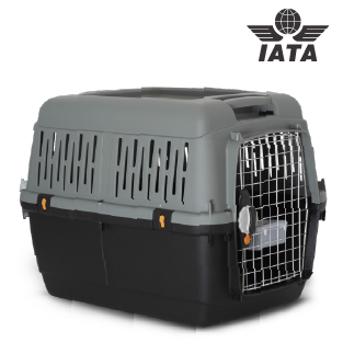 BRACCO CAGE DE TRANSPORT IATA  TAILLE  5  81X61X60H