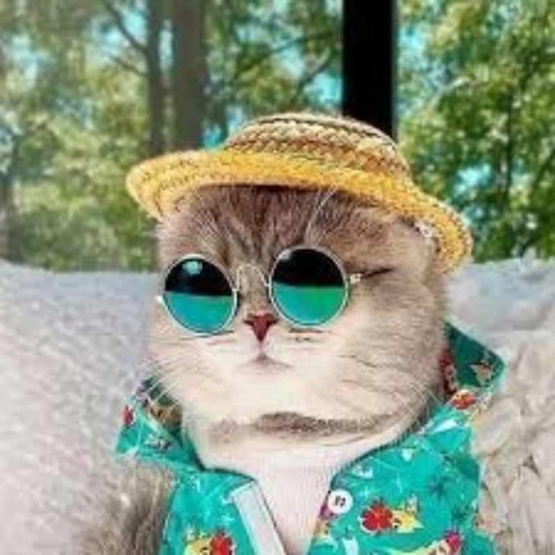 LUNETTE SOLAIRE POUR CHAT & CHIEN