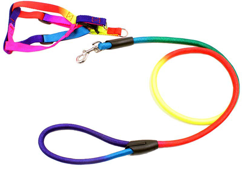 LAISSE AVEC HARNAIS ARC EN CIEL  POUR MINI CHIEN ET CHAT