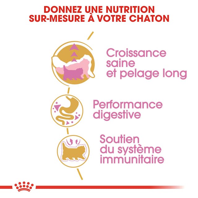 ROYAL CANIN CROQUETTE CHATON SPECIAL PERSIAN - 2KG