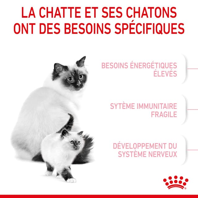 ROYAL CANIN - CROQUETTES MOTHER & BABYCAT 2KG