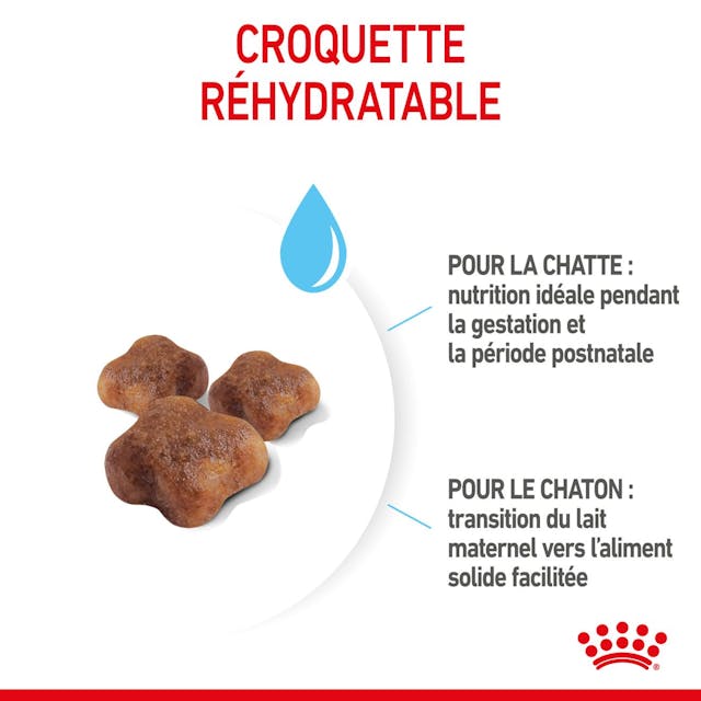 ROYAL CANIN - CROQUETTES MOTHER & BABYCAT 2KG