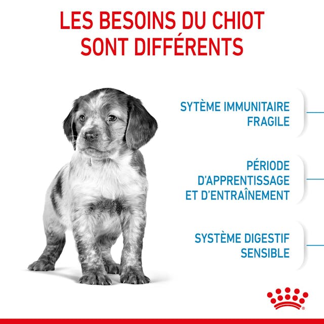 ROYAL CANIN CHIEN MEDUIM PUPPY