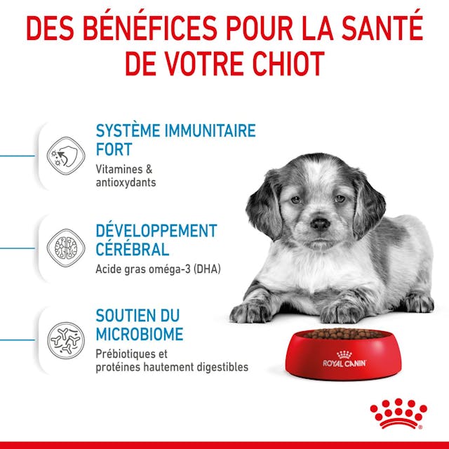 ROYAL CANIN CHIEN MEDUIM PUPPY