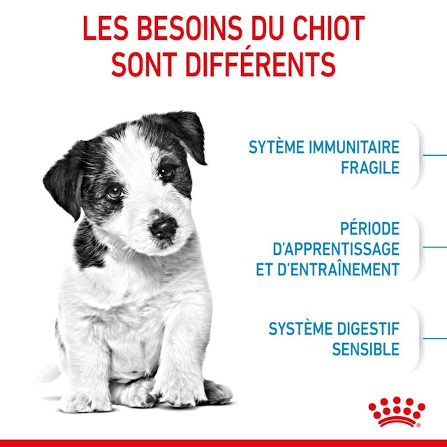 ROYAL CANIN - CROQUETTE POUR CHIEN PUPPY MINI