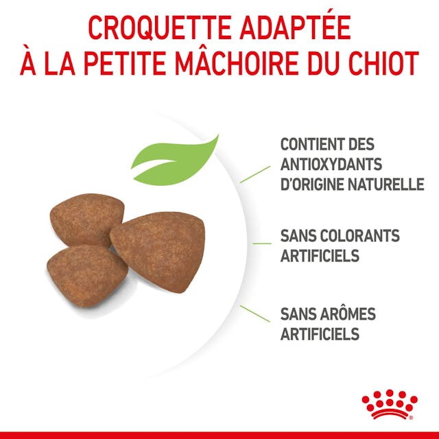 ROYAL CANIN - CROQUETTE POUR CHIEN PUPPY MINI