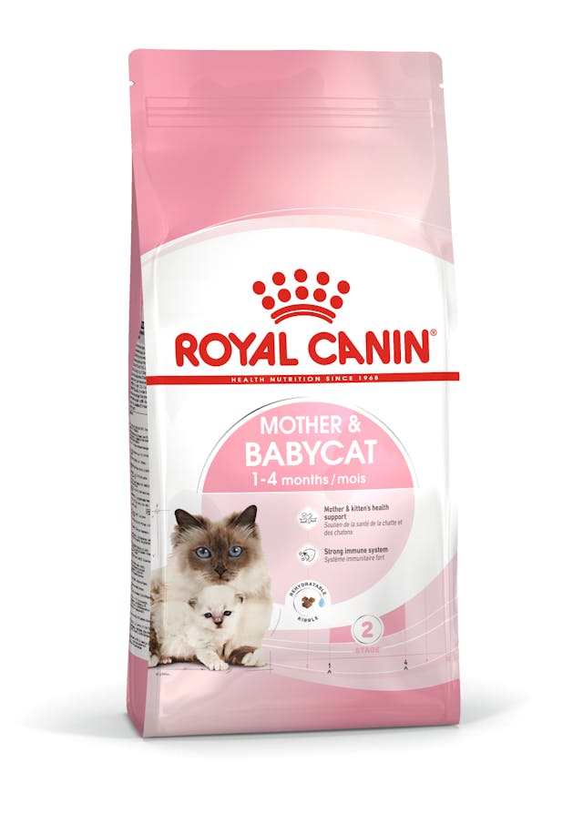 ROYAL CANIN - CROQUETTES MOTHER & BABYCAT 2KG