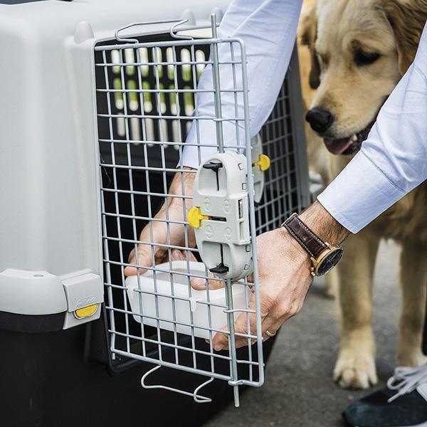 CAGE DE TRANSPORT IATA TAILLE 7 102X72X76H